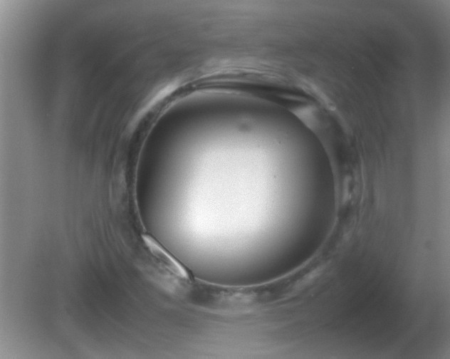 X0000081611261200701221153