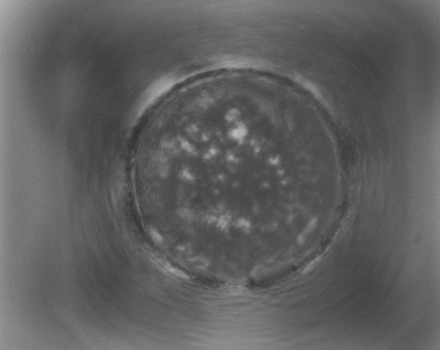 X0000081611263200701221153