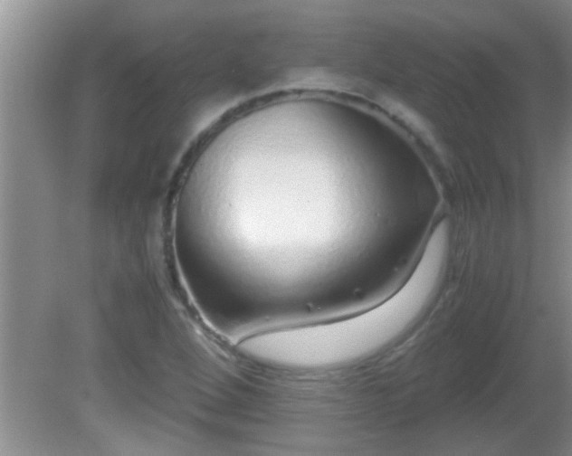 X0000081611264200701221153