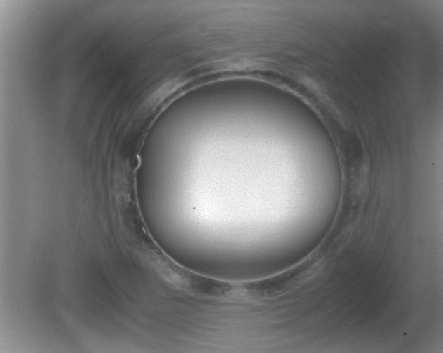 X0000081611265200701221153