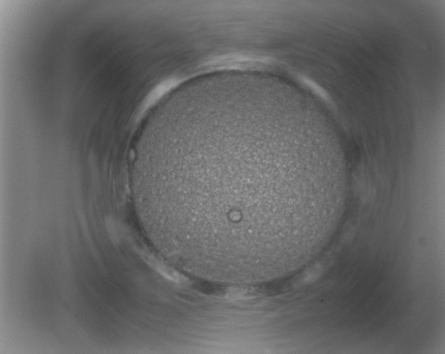 X0000081611267200701221153