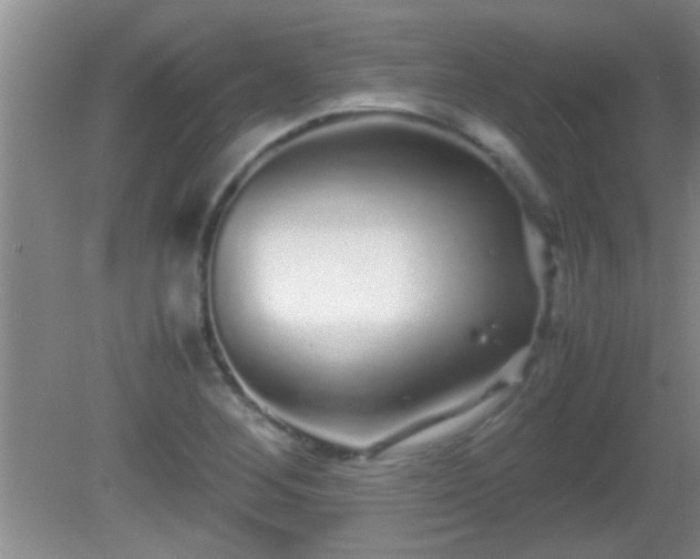 X0000081611268200701221153