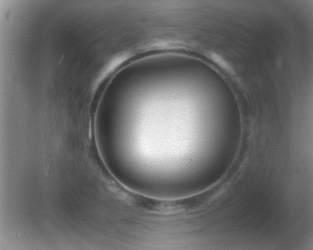 X0000081611269200701221153