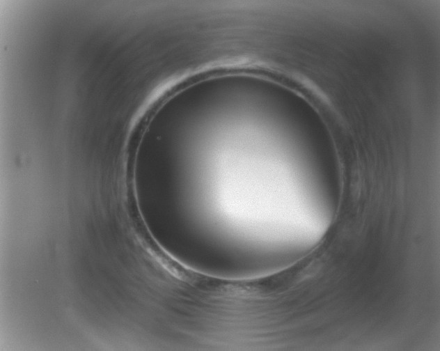 X0000081611270200701221153