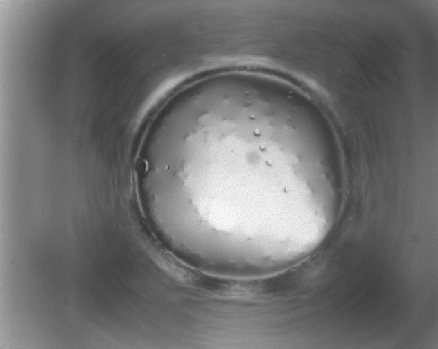 X0000081611271200701221153