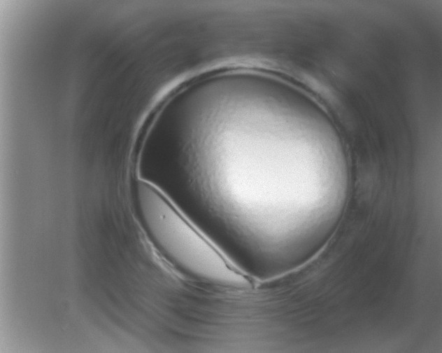 X0000081611272200701221153