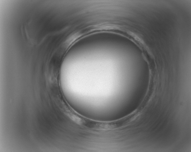 X0000081611273200701221153