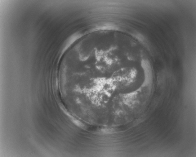 X0000081611274200701221153