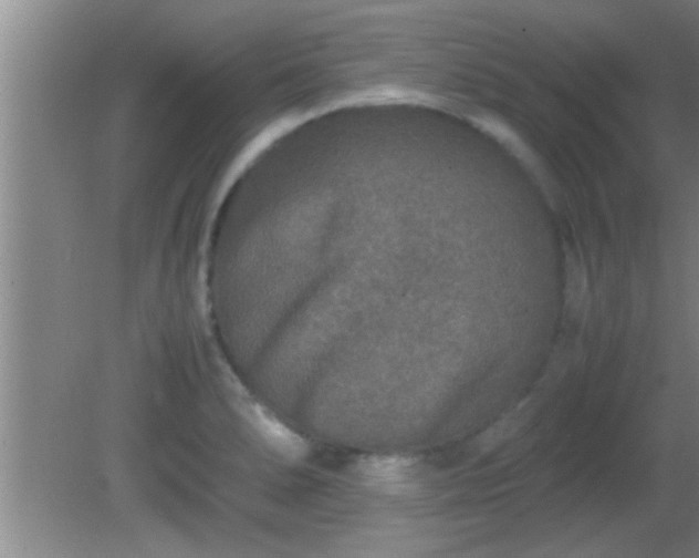 X0000081611278200701221153