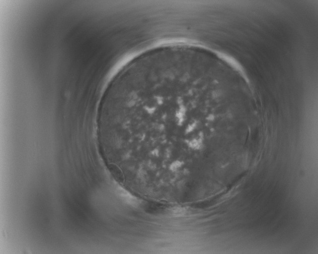 X0000081611279200701221153