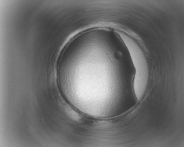 X0000081611280200701221153