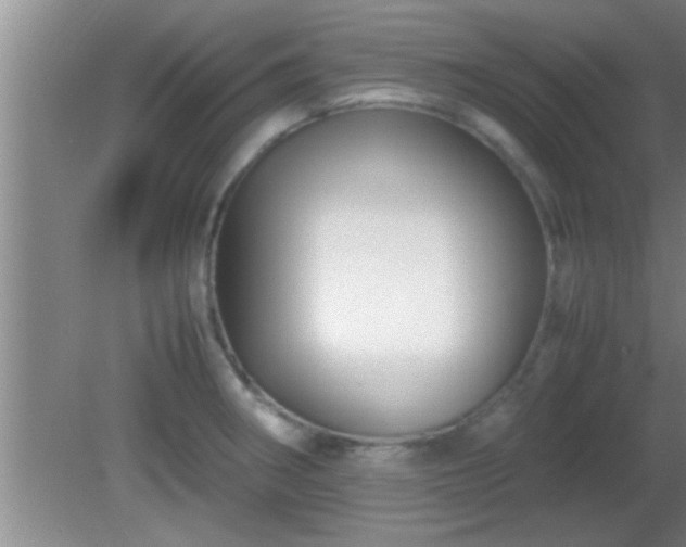 X0000081611282200701221153