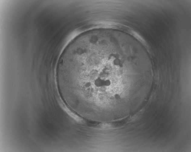 X0000081611283200701221153