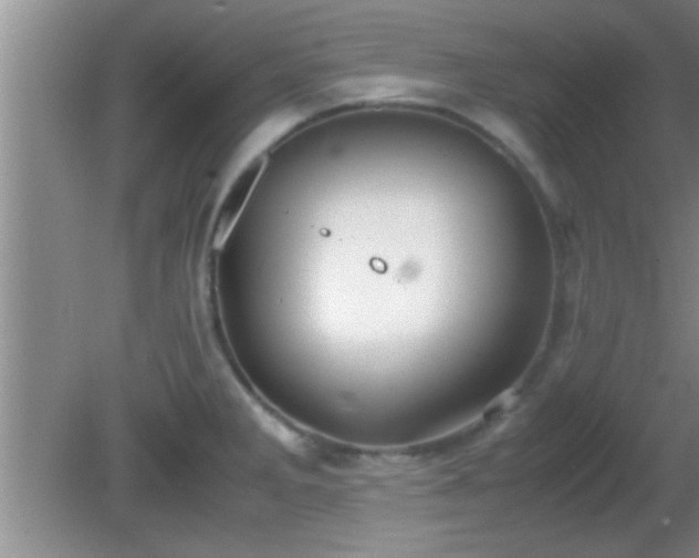 X0000081611285200701221153