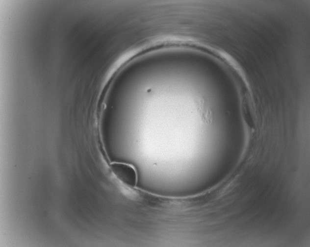 X0000081611287200701221152