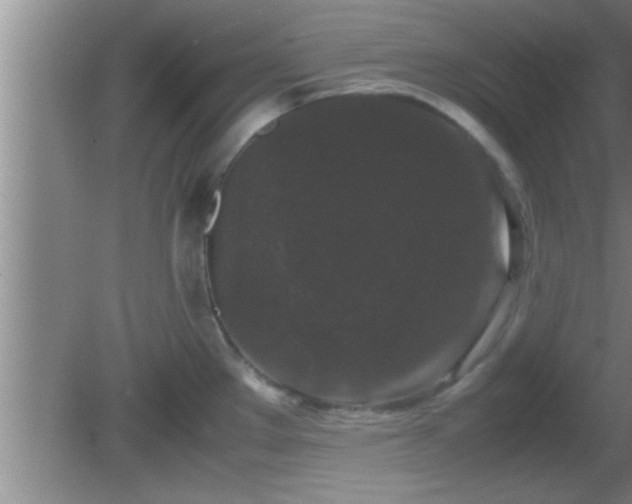 X0000081611289200701221152