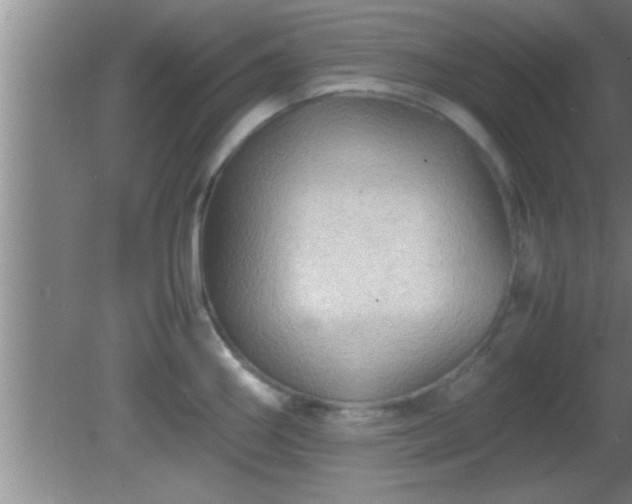 X0000081611290200701221152