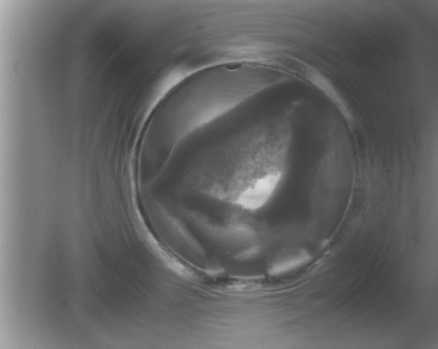 X0000081611291200701221152