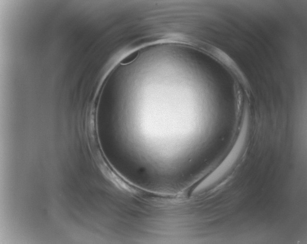 X0000081611292200701221152