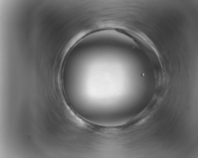 X0000081611293200701221152