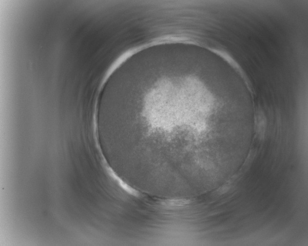 X0000081611294200701221152