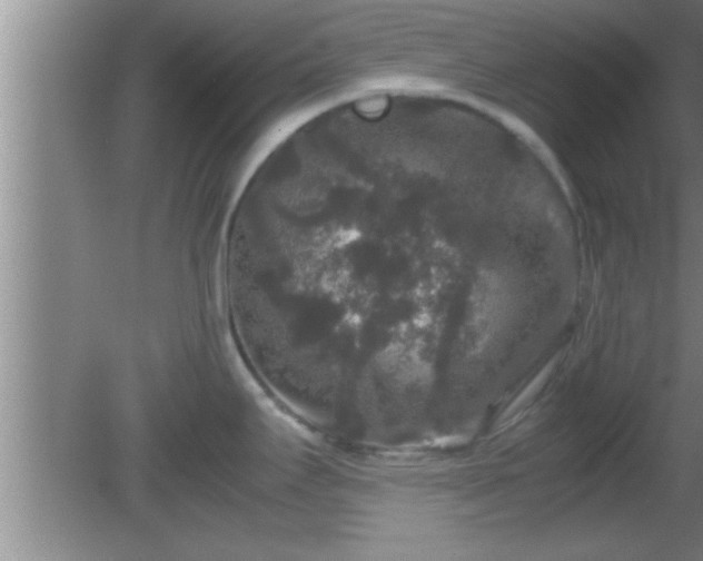 X0000081611295200701221152