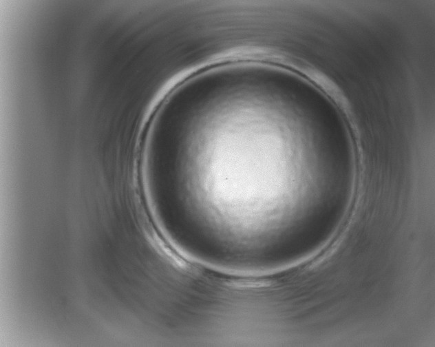 X0000081611296200701221152