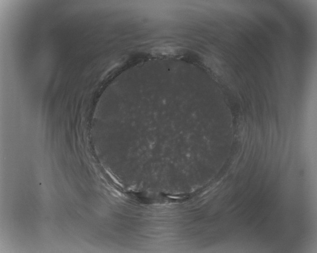 X0000081611297200701221152