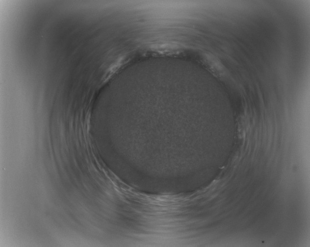 X0000081611298200701221152