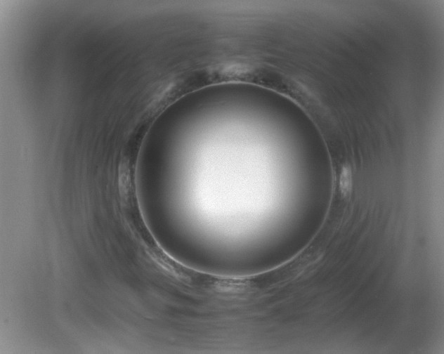 X0000081611299200701221152