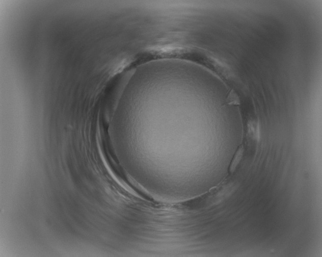 X0000081611300200701221152