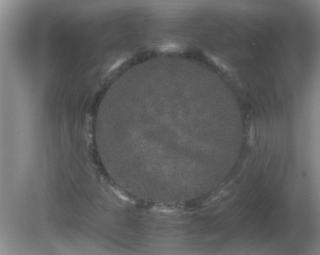 X0000081611301200701221152