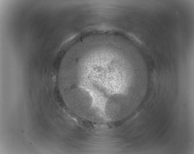 X0000081611302200701221152