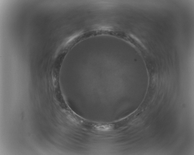 X0000081611303200701221152