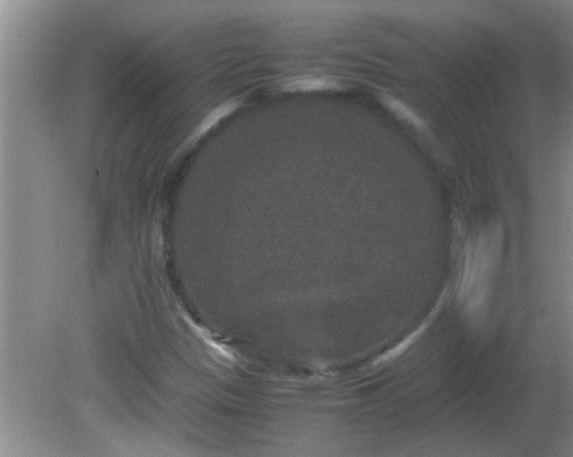 X0000081611305200701221152