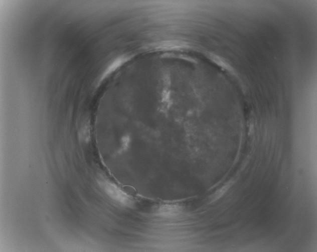 X0000081611306200701221152