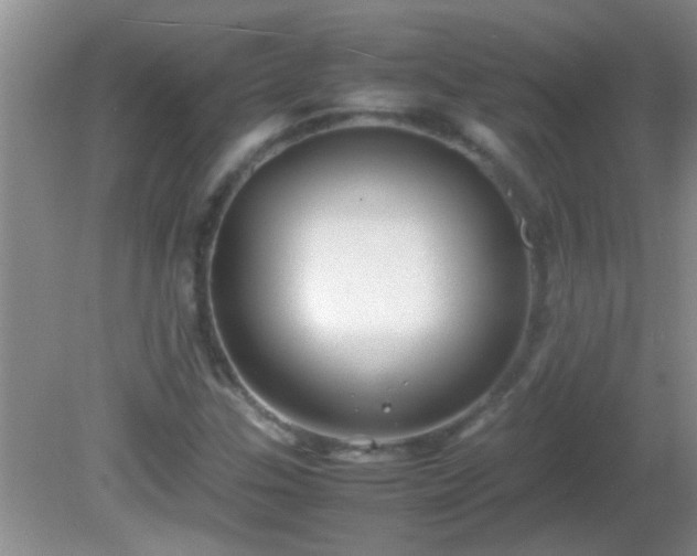 X0000081611307200701221152