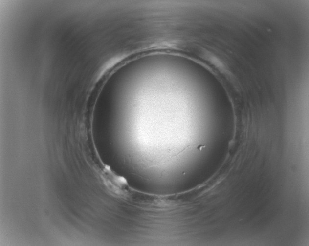 X0000081611308200701221152