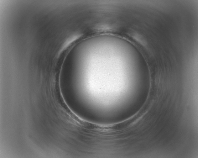 X0000081611309200701221152