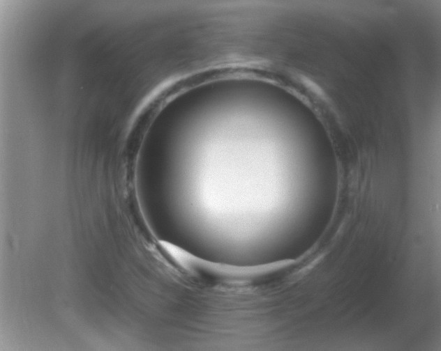 X0000081611310200701221152