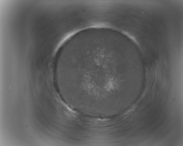 X0000081611311200701221152