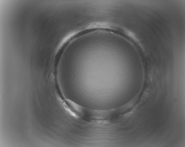 X0000081611312200701221152