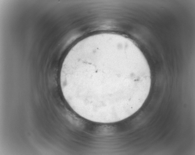 X0000081611314200701221152