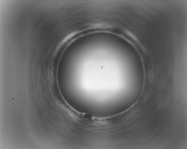 X0000081611315200701221152