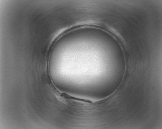 X0000081611316200701221152