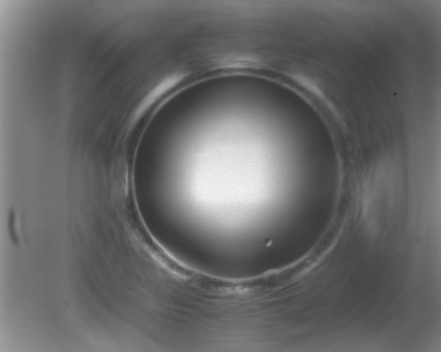 X0000081611317200701221152