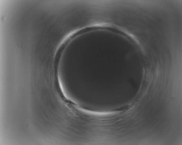 X0000081611319200701221152