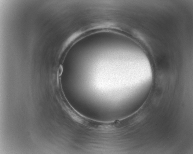 X0000081611320200701221152