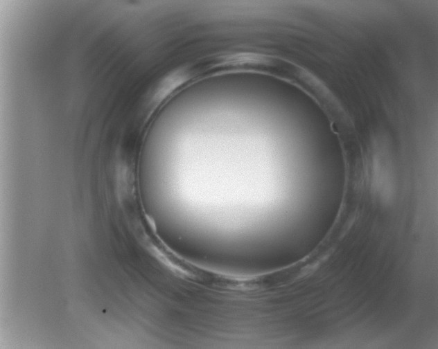 X0000081611321200701221152