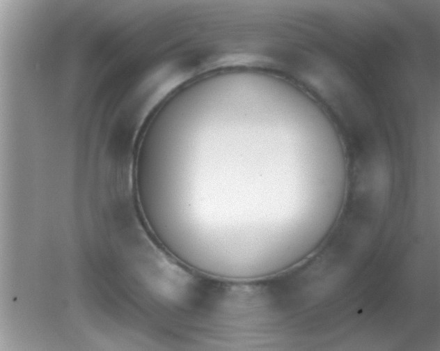 X0000081611322200701221152